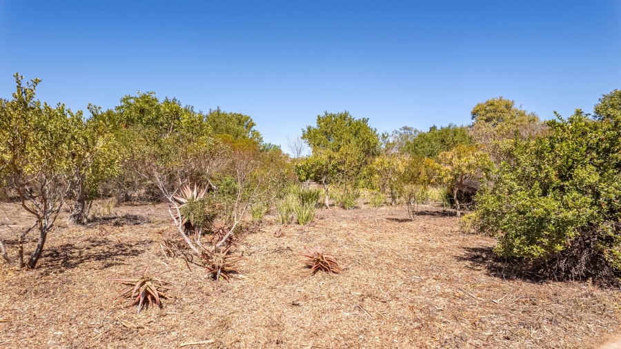 Commercial Property for Sale in Wilderness Rural Western Cape
